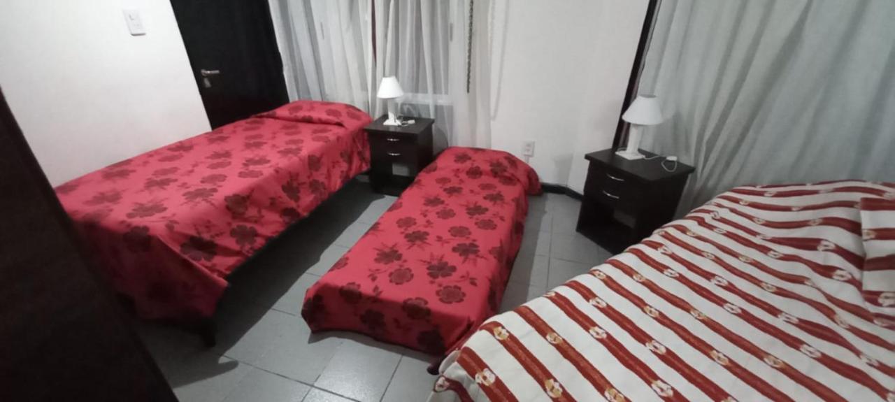 Apartamentos Willy - En Zona Residencial Con Estacionamiento メンドーサ エクステリア 写真